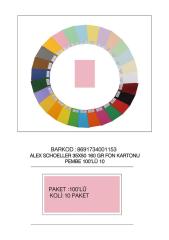 ALEX FON KARTONU 35x50 160GR PEMBE 100 LÜ 10