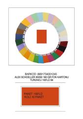 ALEX FON KARTONU 35x50 160GR TURUNCU 100 LÜ 56