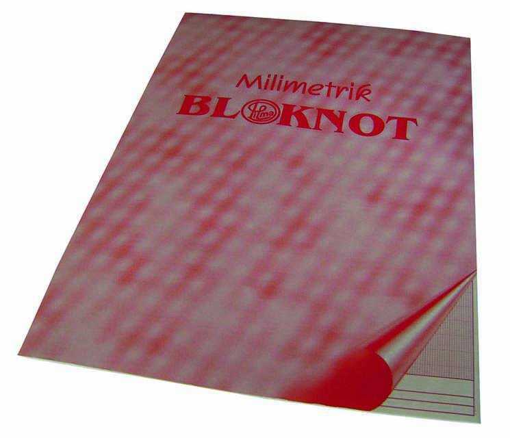 DİLMAN MİLİMETRİK BLOK A4 PEMBE