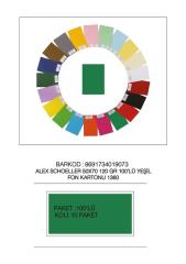 ALEX FON KARTONU 50x70 120 GR YEŞİL 100 LÜ 60