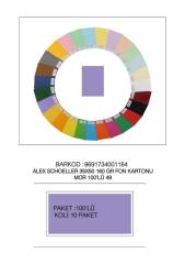 ALEX FON KARTONU 35x50 160GR MOR 100 LÜ 49