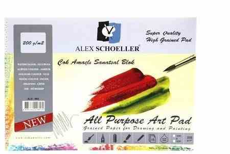 ALEX RESİM DEFTERİ 25x35 SPR. 200GR 15 YP ALX-893