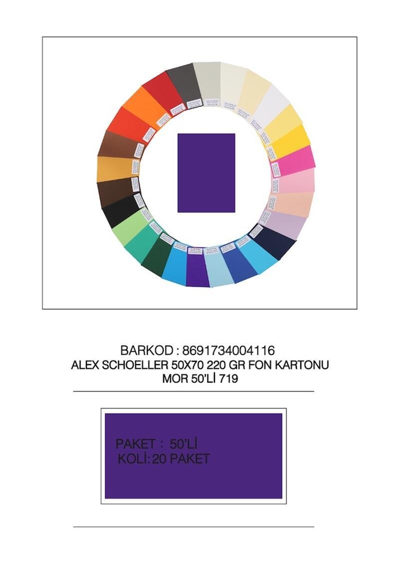 ALEX FON KARTONU 50x70 220GR MOR 50 Lİ 719