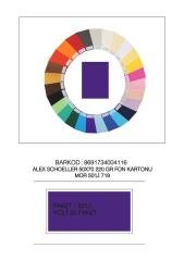 ALEX FON KARTONU 50x70 220GR MOR 50 Lİ 719