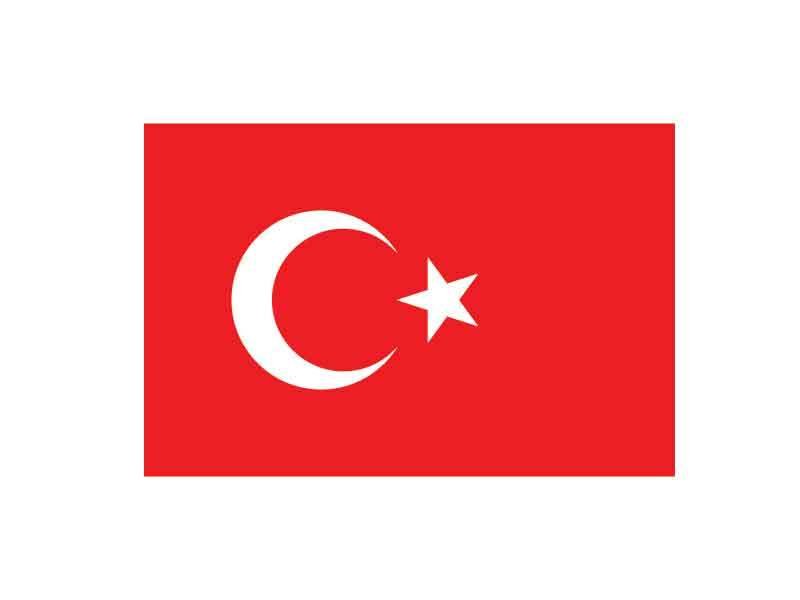 BUKET BAYRAK MASAÜSTÜ 15X22,5 ÇİFT KATLI BKT-136