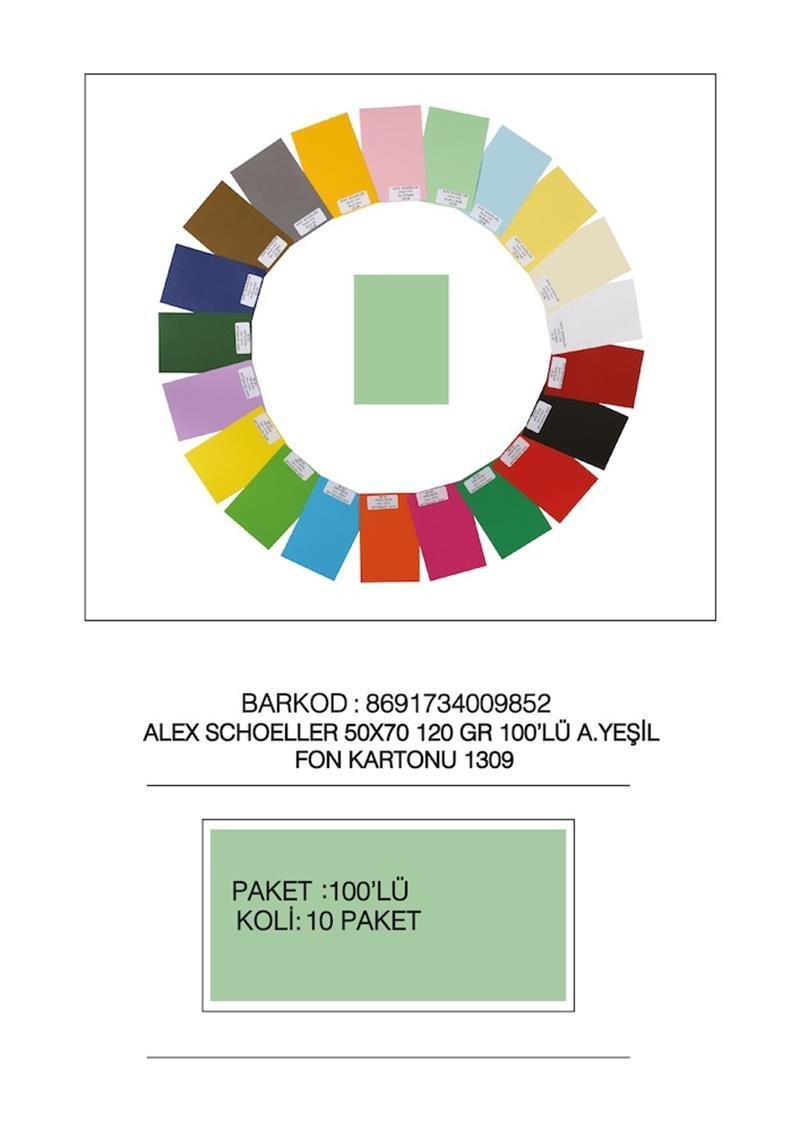ALEX FON KARTONU 50x70 120 GR AÇIK YEŞİL 100 LÜ 09