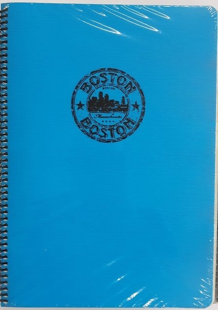 KESKİN DEFTER A4 BOSTON PP 30X4 120 YP DÜZ 352640