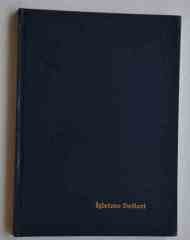 DİLMAN İŞLETME DEFTERİ CILTLI 96 YP