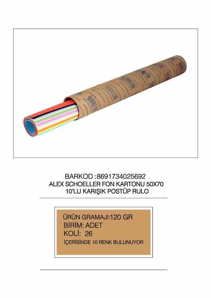 ALEX FON KARTONU 50x70 120 GR KRŞ 10 LU RULO 003