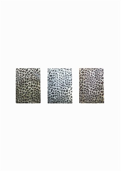 LİZ DEFTER LEOPAR DESEN KAR. LEO180LUXK