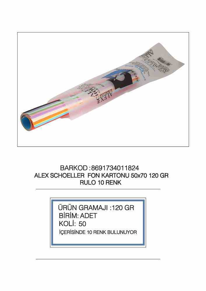 ALEX FON KARTONU 50x70 120 GR KRŞ 10 LU RULO 001