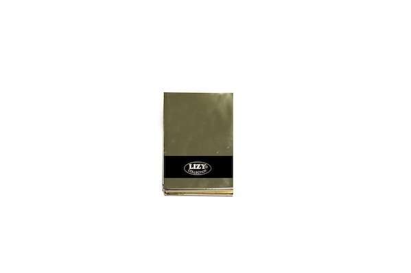 LİZ DEFTER AYNA KAPAK IVORY 96YP KAR. AYN123K