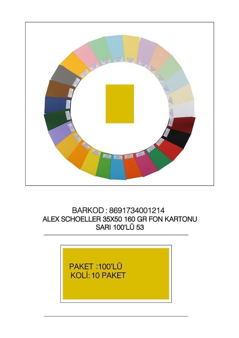 ALEX FON KARTONU 35x50 160GR SARI 100 LÜ 53
