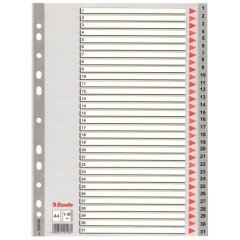 ESSELTE SEPARATÖR A4 1-31 RAKAM SLT-100108
