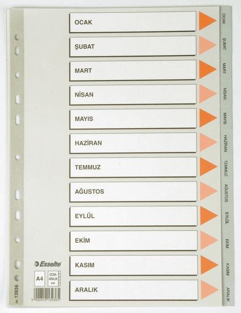 ESSELTE SEPARATÖR A4 AYLAR SLT-13936