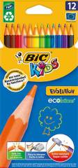 BIC KURUBOYA EVOLUTION 12 Lİ 82902910