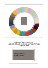 ALEX FON KARTONU 25x35 160GR GRİ 100 LÜ 12