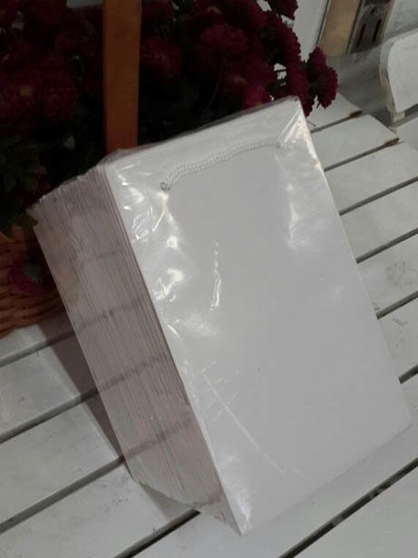 25 Li Toptan Beyaz Hediyelik Karton Çanta 11x17 Cm
