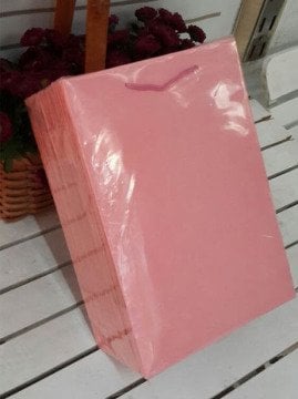 25'Li Pembe Hediyelik Karton Çanta 17x26 Cm