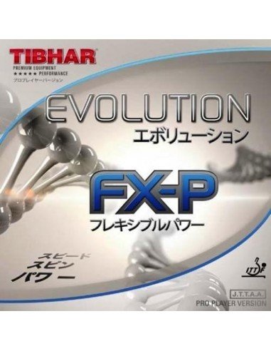 Tibhar Evolution FX-P