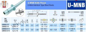 Çelik İnterlock Ağır Hizmet Perçini 4.8x14 mm - 250 adet