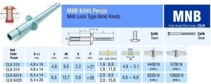 Çelik Monobolt Ağır Hizmet Perçini 4.8x10 mm - 250 adet