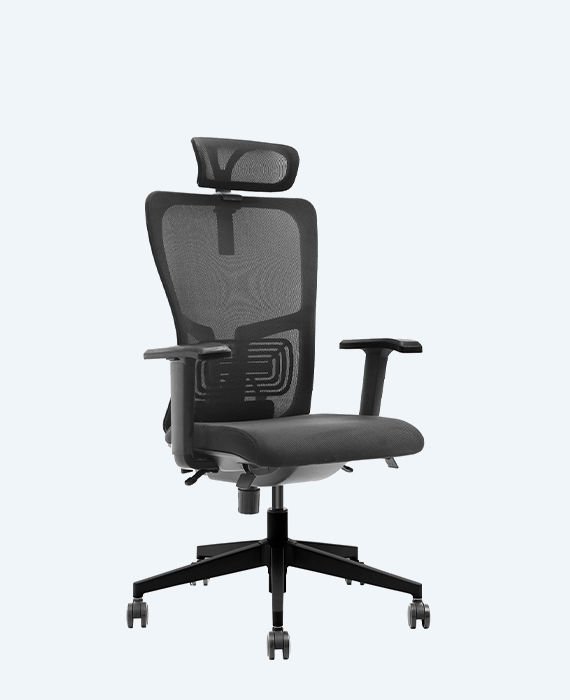 Lumbar Yönetici Koltuğu