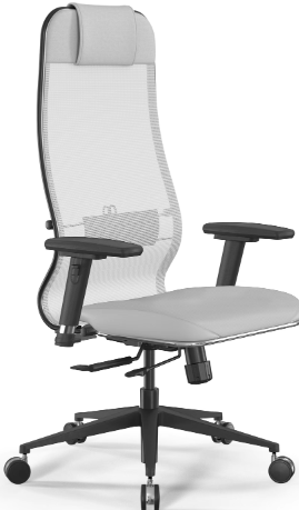 Ergolife Synchrosit 10 Ergonomik Yönetici Koltuğu
