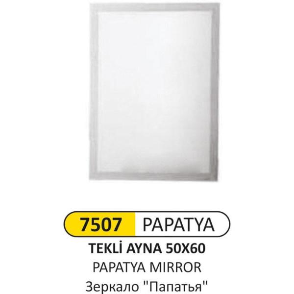 PAPATYA AYNA