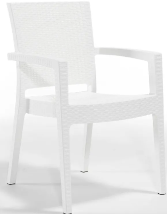 Paris Rattan Koltuk