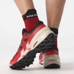 Salomon Speedcross 6 Gore-Tex Patika Koşu Ayakkabısı ERKEK