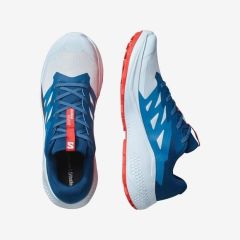 SALOMON ALPHAGLIDE ERKEK OUTDOOR AYAKKABI