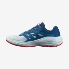 SALOMON ALPHAGLIDE ERKEK OUTDOOR AYAKKABI