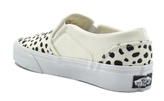 Vans Asher Günlük KADIN Ayakkabı Krem
