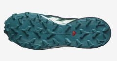 Salomon Erkek Patika Koşusu Ayakkabısı Speedcross 6