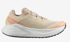 SALOMON AERO GLIDE 3 GRVL W