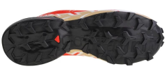 Salomon Erkek Patika Koşusu Ayakkabısı Speedcross 6