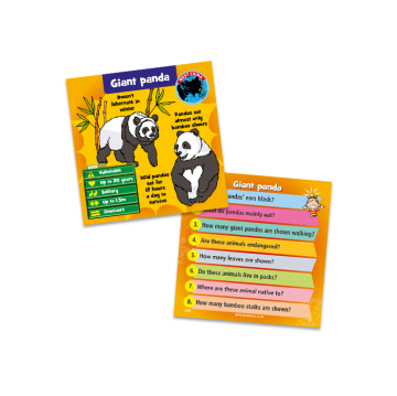 BrainBox Hayvanlar (Animals) (İngilizce)