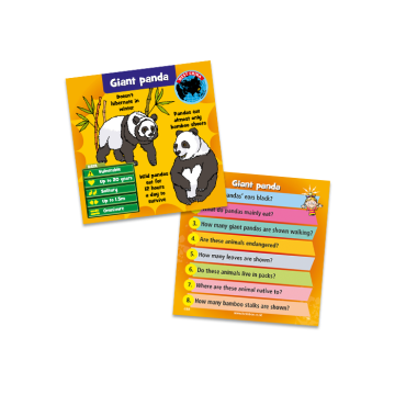 BrainBox Hayvanlar (Animals) (İngilizce)