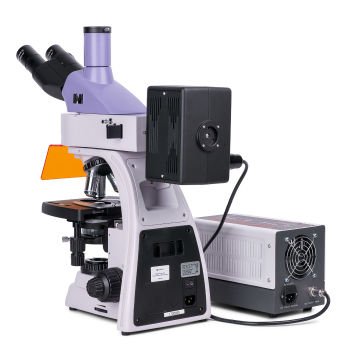MAGUS Lum D400 LCD Floresan Dijital Mikroskop