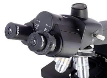 Levenhuk D870T 8 M Dijital Trinoküler Mikroskop