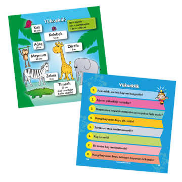 Brainbox Matematik Türkçe