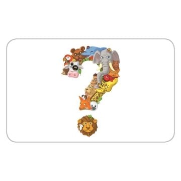 Asmodee Concept Çocuk - Hayvanlar