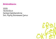 Biriktirdiklerim