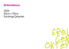 Biriktirdiklerim