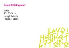 İnsan Biriktiriyorum