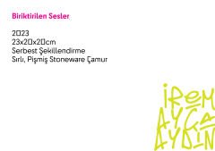 Biriktirilen Sesler
