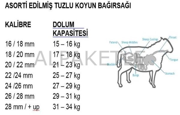 A KALİTE 26-28 MM KOYUN BAĞIRSAĞI (SALAMURA) 90 MT