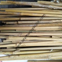 Bambu Çubuk- 295cm / 60-70mm Mosso Bambu -- 1 Adet