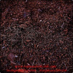 Cocopeat 2 lt